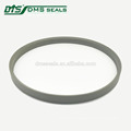 oil seal ptfe filled bronze hydraulic pump seal kits rod seal DPT1